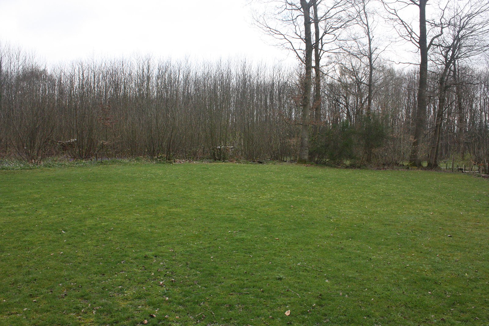 The Glade camping area