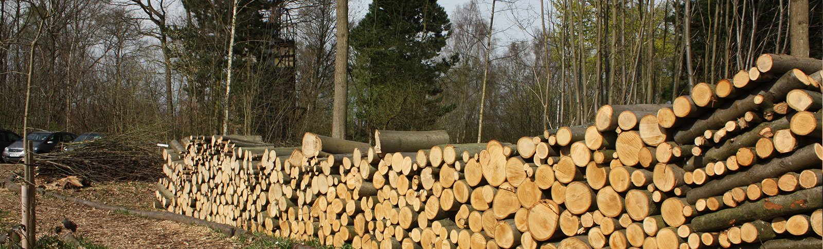 Maidstone District Scout Activities