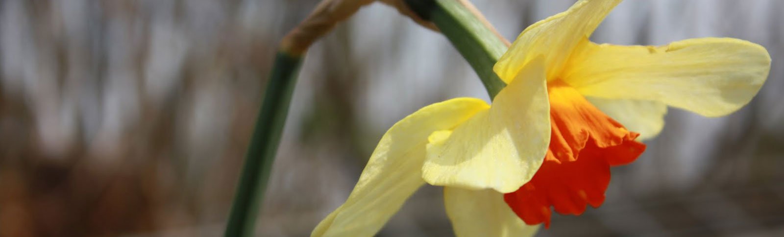 Water Activities near Hamlet Wood Scout Campsite