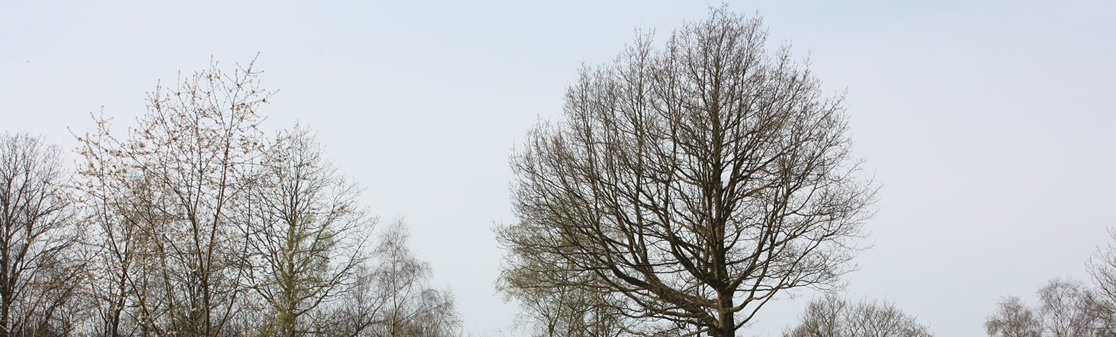 Hiking at Hamlet Wood Scout Campsite