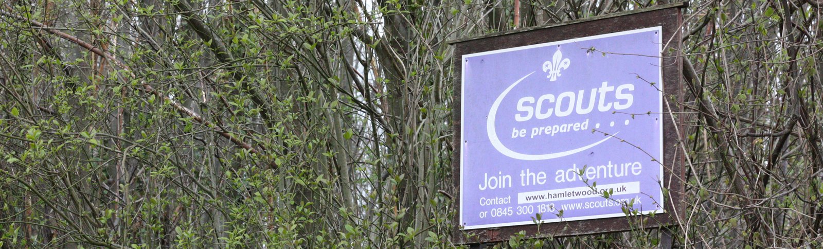 Hamlet Wood Scout Campsite Sign