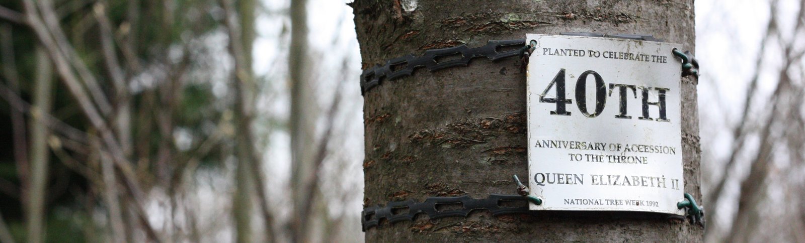 History of Hamlet Wood Scout Campsite